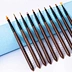 Cleaning Brush
